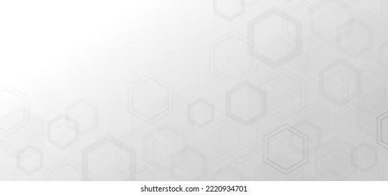 Abstract gray and white hexagonal pattern tech template. Widely design decorative background. Vector