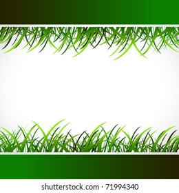 Abstract green background.