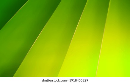 Resumen de fondo verde con rayas diagonales. Fondo de naturaleza verde con líneas. Los fondos ecológicos verdes se pueden utilizar para el diseño de portadas, carteles y publicidad. Ilustración del vector EPS10.