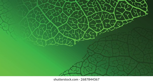 Abstract green background featuring detailed leaf vein patterns, creating a natural and organic texture.