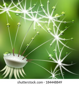 Abstract green background with  flower dandelion