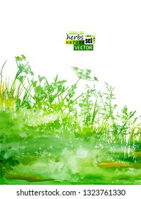 Abstract green background with grass. Vector