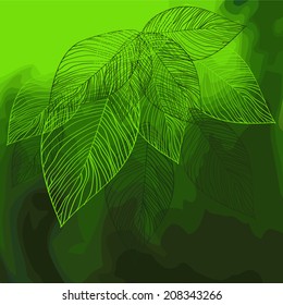 Abstract green background with leaves. Vector