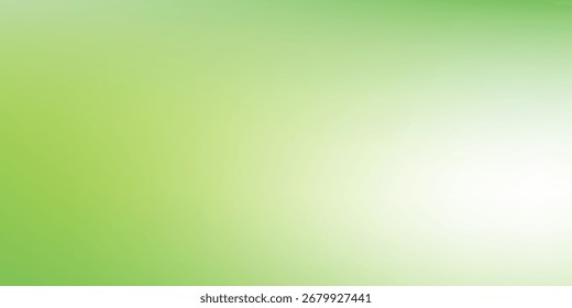 Fondo verde abstracto para la presentación del producto con ilustraciones de la luz del sol Vector moderno