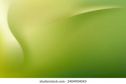 Abstract green background with smooth lines. Vector illustration for your design.
