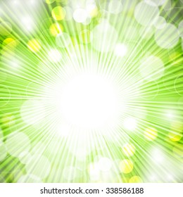 Abstract green background. Summer sunshine concept.