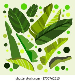 abstract green banana leaves vector background 