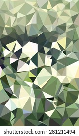 Abstract green black and white triangular low poly style vector background,Vector illustration