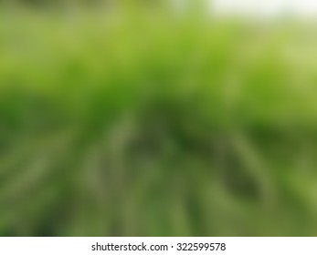 Abstract green blurred background.Blurred vector background.