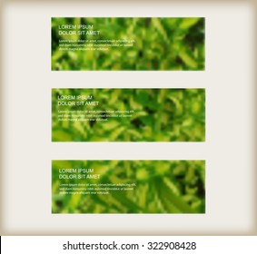 Abstract green blurred backgrounds.Blurred nature background set.