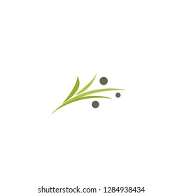 Abstract green curved olive twig with leaves and berries. Flat logo isolated on white. Vector Illustration. Eco, vegan, oil, organic sign