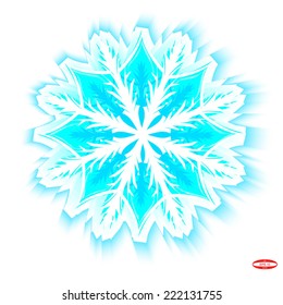 abstract green cyan snowflake isolated on white background vector