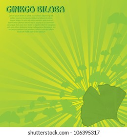 Abstract green ginkgo biloba background