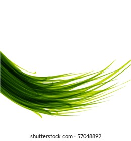 Abstract green grass background