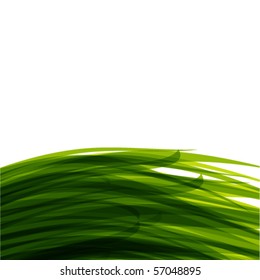Abstract green grass background