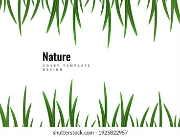 Resumen del borde de hierba verde sobre un fondo blanco. Plantilla para diseño ecológico. Ilustración del vector
