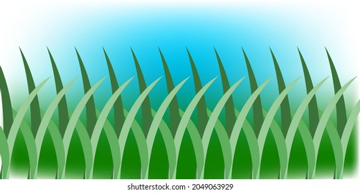 abstract green grass creative background