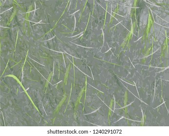Abstract green gray background on white backdrop. Rectangular horizontal shape. Average rough design.
