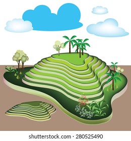 abstract green hill, vector illustration