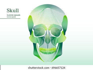 Abstract green illustration of anatomical human skull