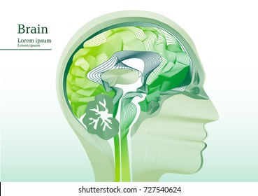 Abstract green illustration of anatomical human head