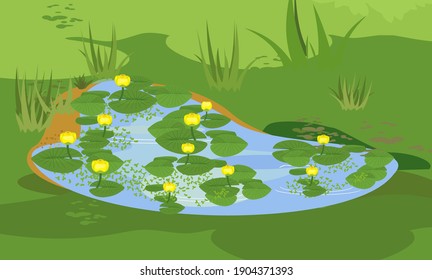 Abstract green landscape with blue pond overgrown with flowering yellow water-lily (Nuphar lutea) with green leaves