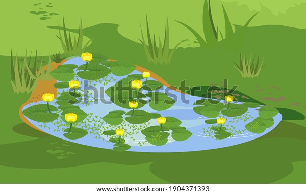 Abstract\
green landscape with blue pond overgrown with flowering yellow\
water-lily (Nuphar lutea) with green\
leaves