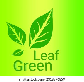 Resumen de la hoja verde con un colorido fondo de degradado verde