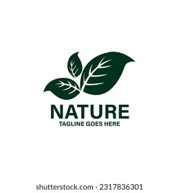 abstract green leaf. illustration of green leaf logo