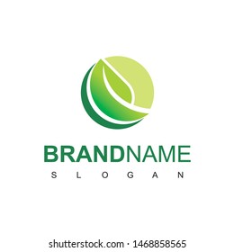 Abstract Green Leaf Logo Design Template Isolated On White Background