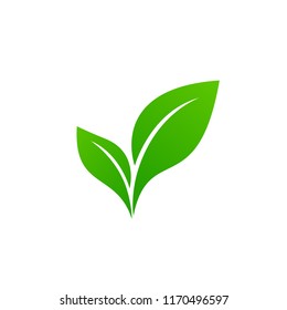 Abstract green leaf logo icon vector design. Ecology icon set. Eco icon. 