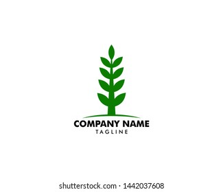 Abstract green leaf logo icon vector design