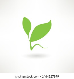 Abstract green leaf logo icon vector design. Plant, nature and ecology vector logo. Ecology Happy life Logotype concept icon. Vector illustration