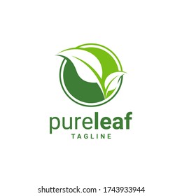 Resumen del diseño vectorial de iconos de la hoja verde. Diseño paisajístico, jardín, planta, naturaleza y logotipo del vector ecológico. Ecología Feliz vida Icono de concepto de Logotipo.