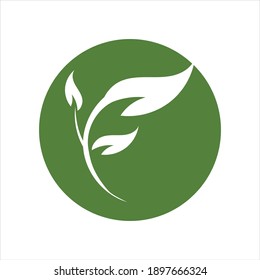 Abstract green leaf logo icon vector design.
