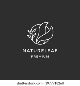  Abstract green leaf logo icon vector design. Landscape, garden, plant, nature and ecology vector logo design on black background