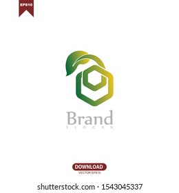 Abstract green leaf logo inspiration icon vector design