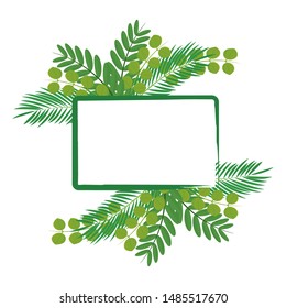 abstract green leaf on a white background