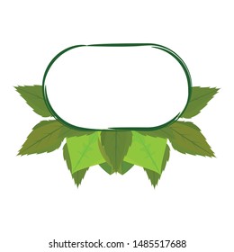 abstract green leaf on a white background