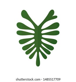 abstract green leaf on a white background