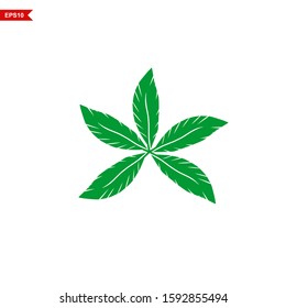 Abstract green leaf on a white background vector