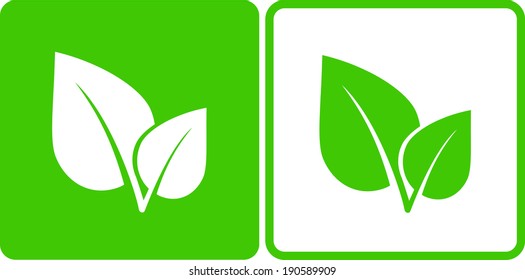 abstract green leaf on white background