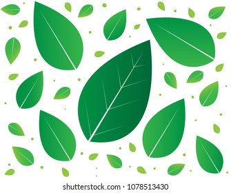 Abstract green leaf pattern.- Plant, Botany, Branch - Plant Part
