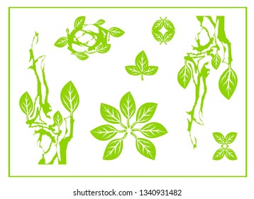 Abstract green leaf, spa, tribal symbol,  yoga, circle leaf sing, nature design, green tea. Leaves on a branch, in a circle and as decorative elements - vector set for your design on a white backdrop