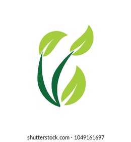 Abstract Green Leaf Vector