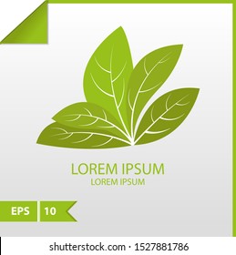 Abstract green leaf vector design logo or icon. Landscape design, garden, Plant, nature and ecology vector logo. Logo  Ecology Happy life Logotype concept . Graphic Design Editable 
