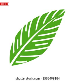 abstract green leaf with white background, leaf icon, vector
