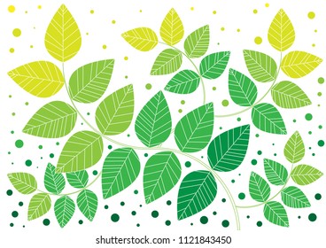 Abstract green leaves background in springtime. 