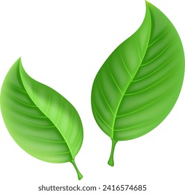 Abstract Green leaves. Eco green concept spring card background for your design. Eps 10