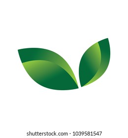 abstract green leaves, logo element